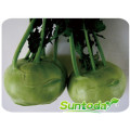 Heirloom green hybrid F1 Organic kohlrabi japanese vegetable cabbage seeds